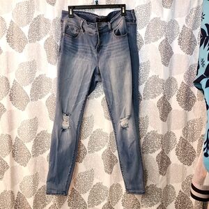 Torrid Denim Jegging